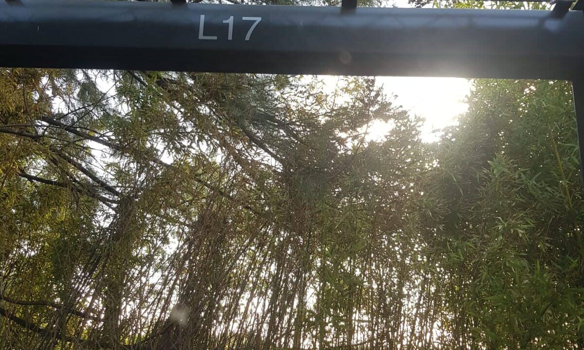 33