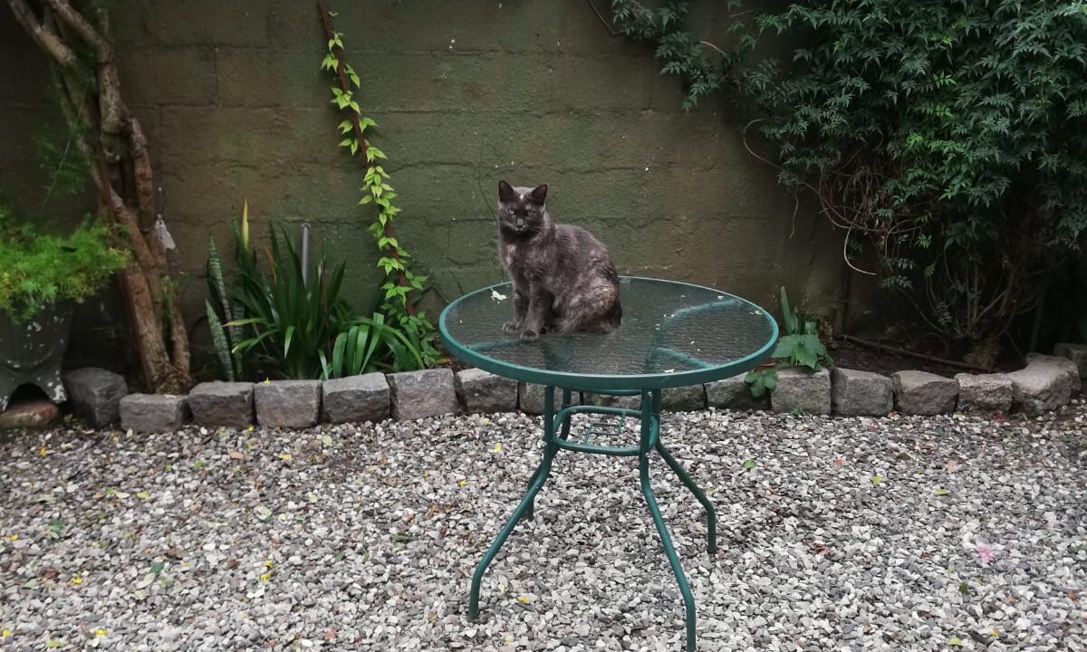 18